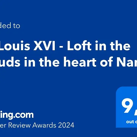 Apartamento Le Louis Xvi - Loft In The Clouds In The Heart Of